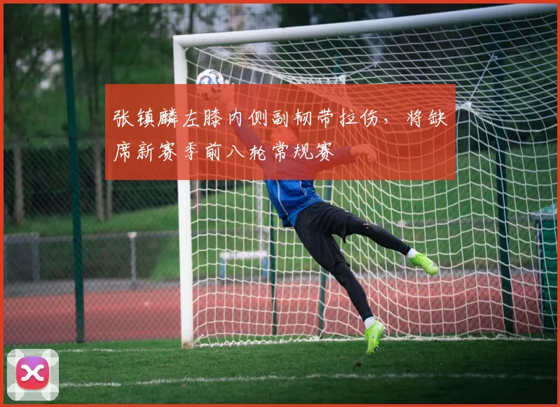 张镇麟左膝内侧副韧带拉伤，将缺席新赛季前八轮常规赛